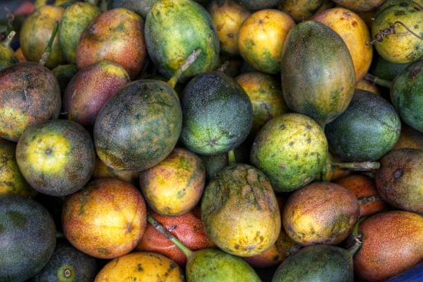 Top 7 Passion Fruit Suppliers in Vietnam in July 2025 — Export Trends, Market Insights & Supplier Recommendations