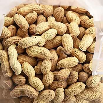 Groundnut Kernels