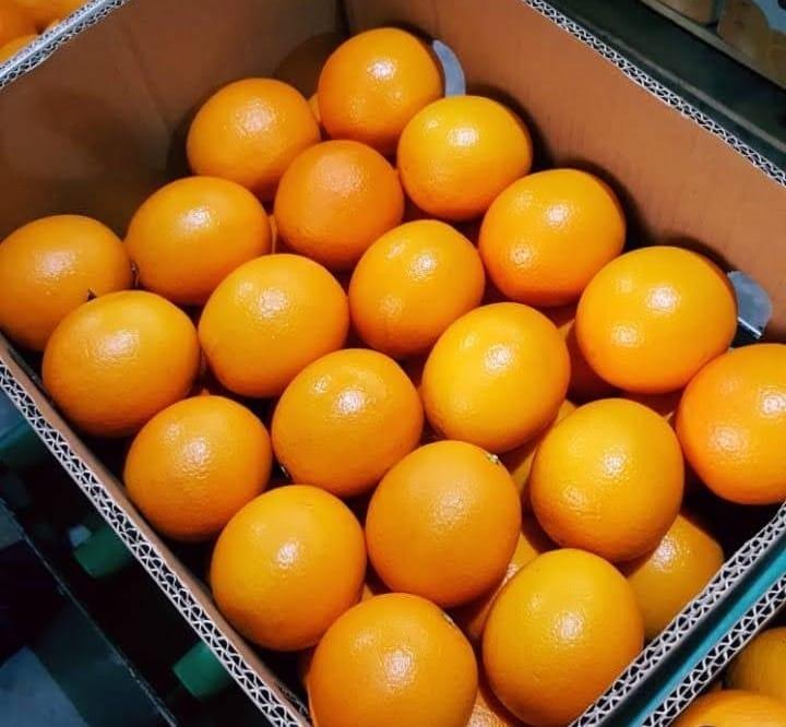 Fresh Oranges Packaging