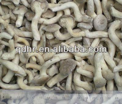 Frozen mushroom