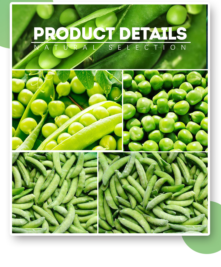 good sale Frozen IQF melon ball green frozen fruit