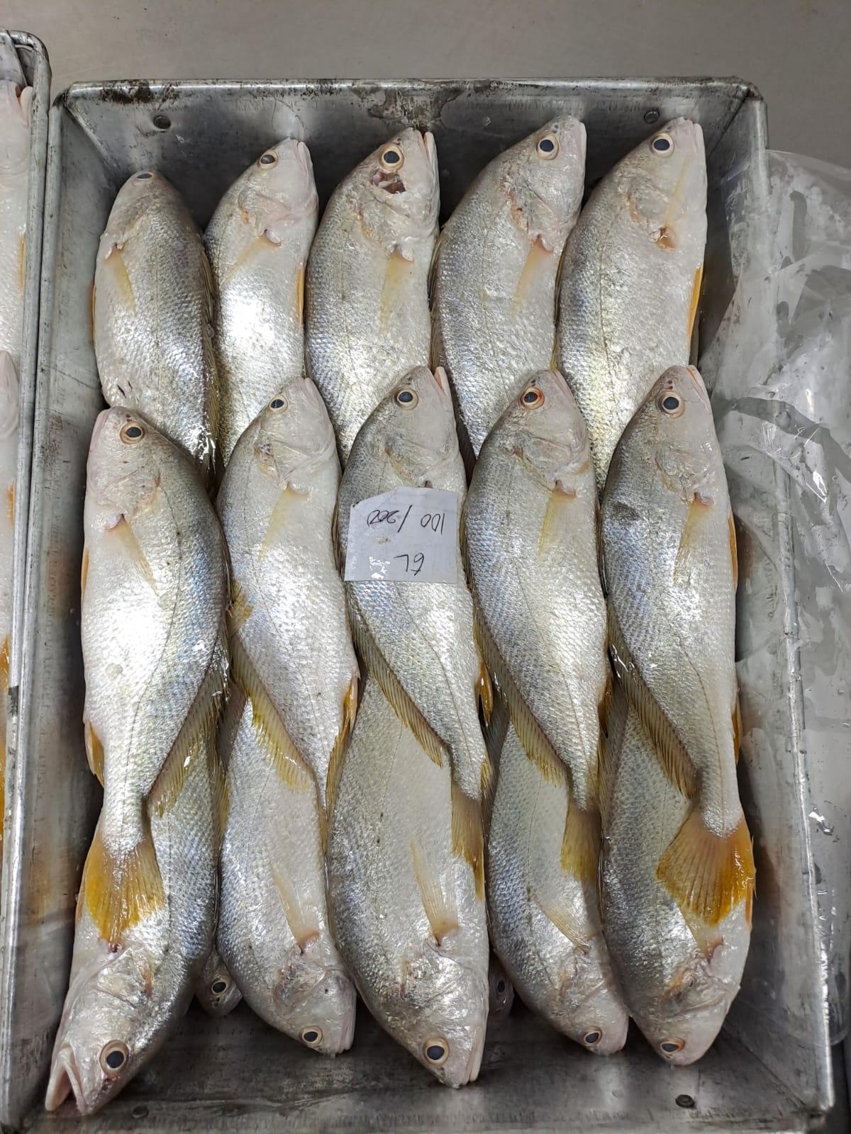 red mulet fish amd yellow croaker fish
