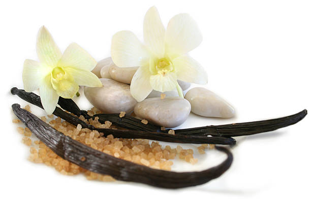 Top 6 Vanilla Suppliers in United States in Year 2025