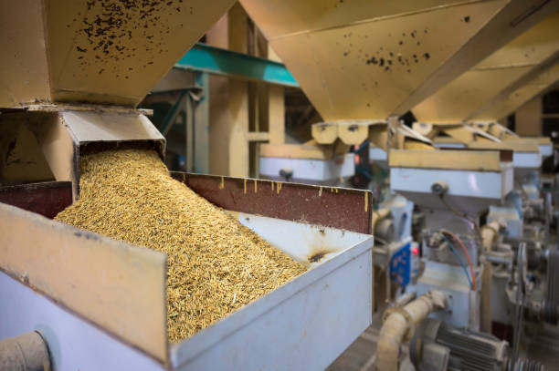 Your Expert Guide to Procuring Top-Tier Biomass Briquette Machines: Top 6 Biomass Briquette Machines Suppliers in India in Year 2025