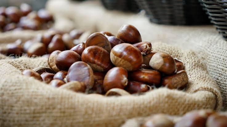 Fresh Chestnuts Sweet Dried Snack for Food Raw and Roasted Processing for Eating
