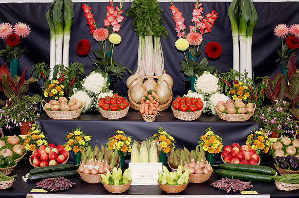 A Comprehensive Guide to Sourcing High-Quality Promotion Tables: Top 6 Promotion Tables Suppliers in United Arab Emirates in Quarter 3 of 2025