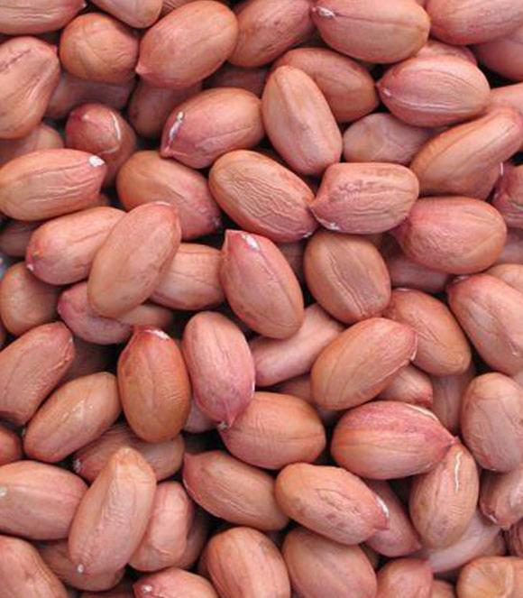 Java Peanuts DHN International