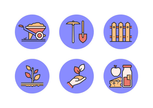 A Comprehensive Guide to Sourcing High-Quality Agriculture Food Beverage: Top 7 Agriculture Food Beverage Suppliers in South Africa in Quarter 3 of 2025