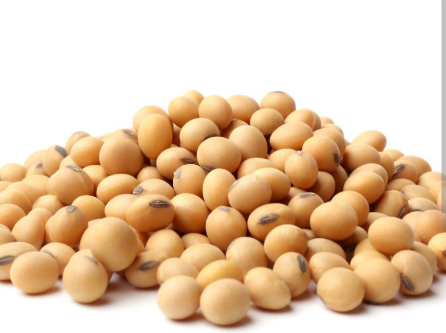 Discover the Top 4 Soybean Suppliers in India - 3