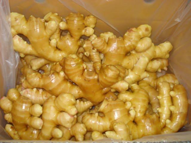 Fresh Ginger from Thailand – Premium Export Grade 100 - 150 g | Zingiber officinale | Cold Chain 12–14°C