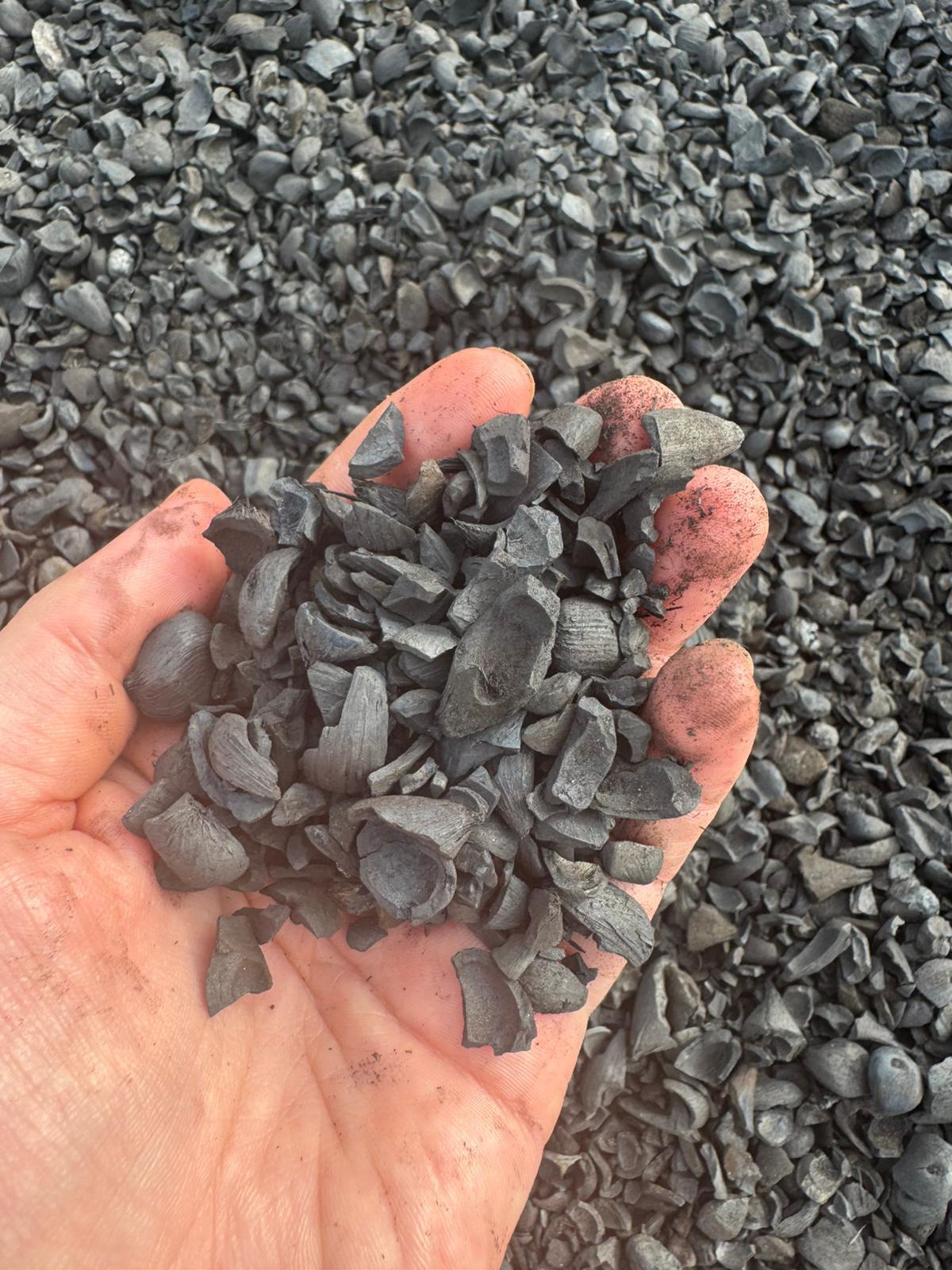 palm kernel charcoal