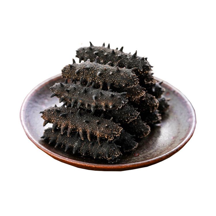 Best selling Dried Sea Cucumber for sale Sea Cucumber Dry Sea Cucumber