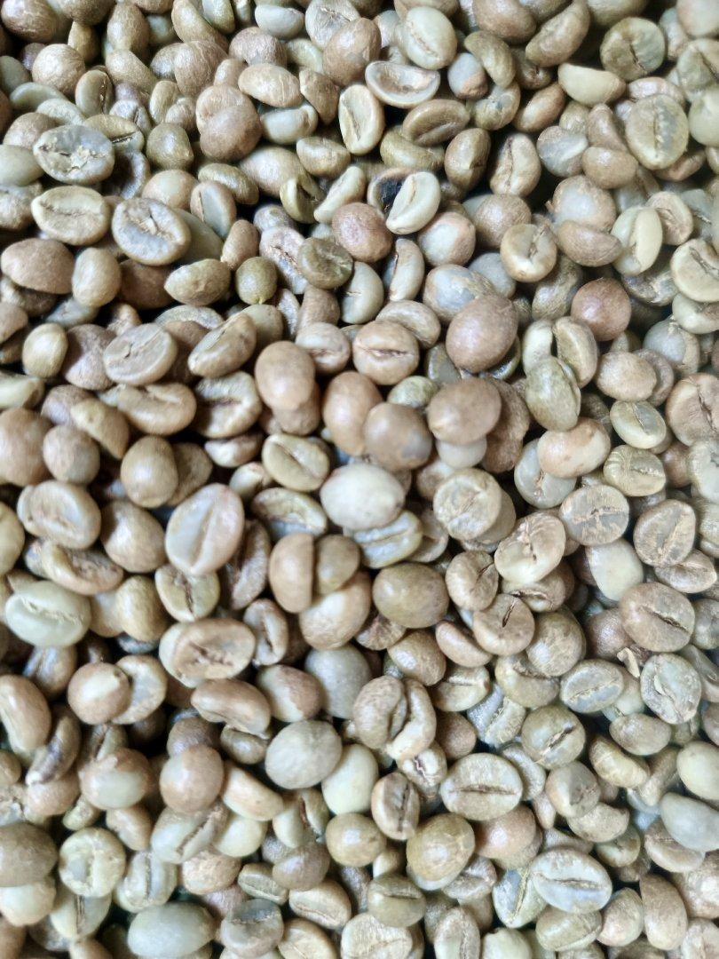 Indonesian Robusta Green Coffee Beans Grade 1 Special Quality Reliable Supply For Bulk