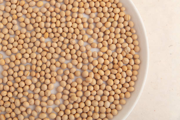 Top 9 Soybean Suppliers in Switzerland in July 2025