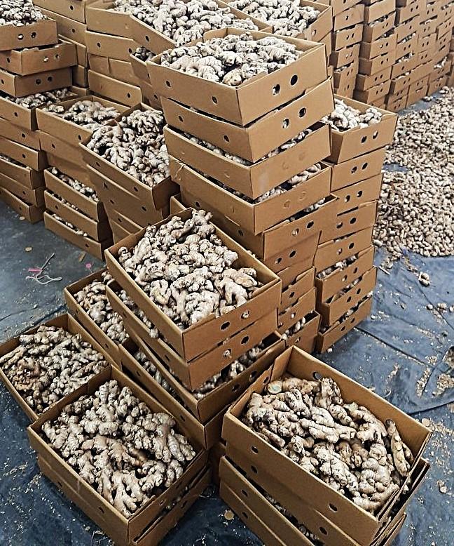 NEIMHEX Agro Products