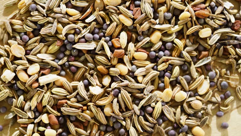 Top 4 Seed Suppliers in Turkey in Quarter 3 of 2025