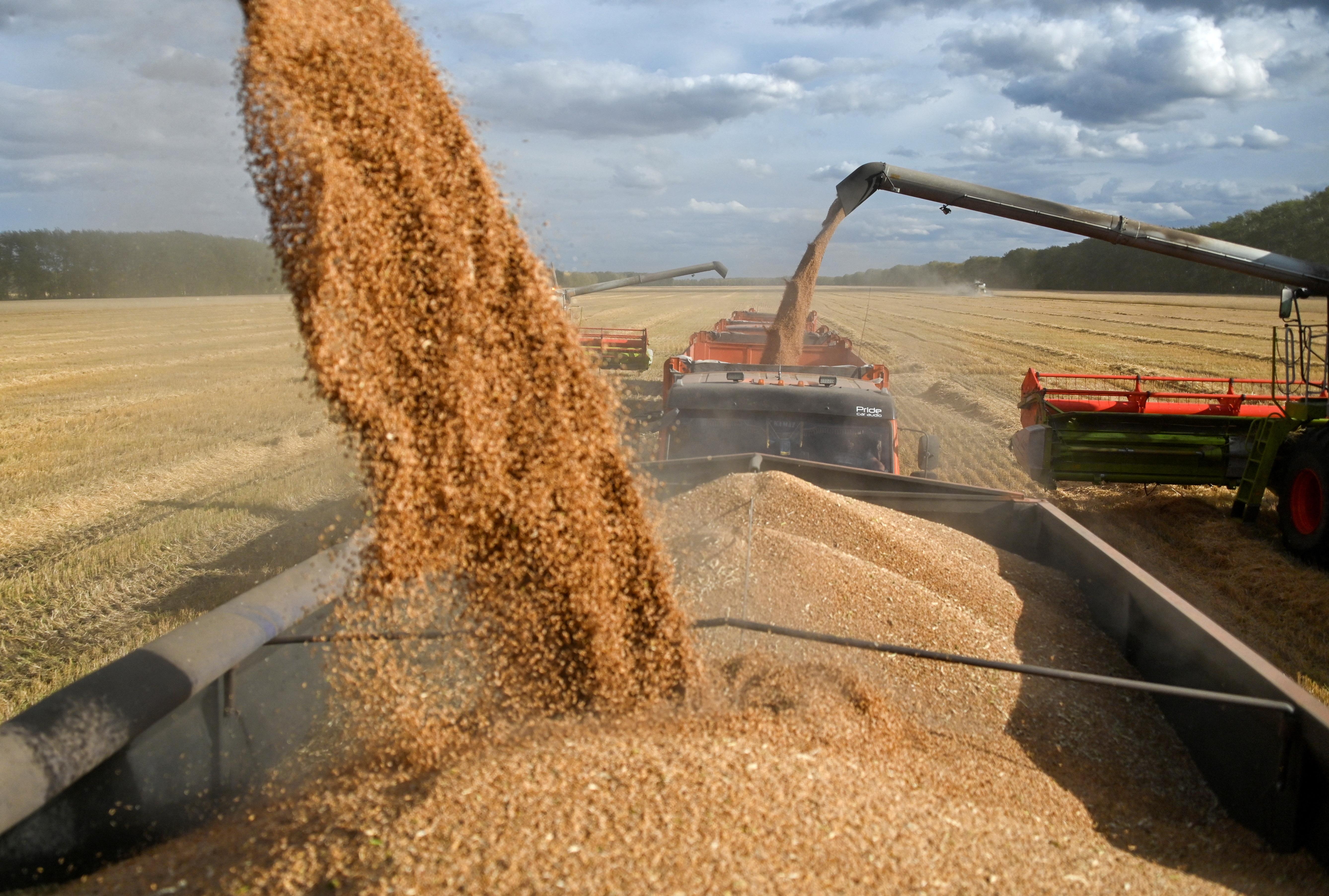 Wheat Product Image