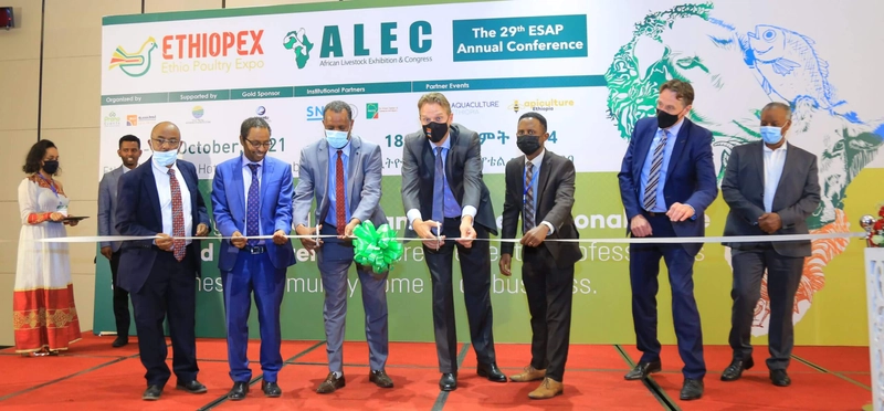 Inside African Livestock Exhibition and Congress: B2B Key Insights - 1