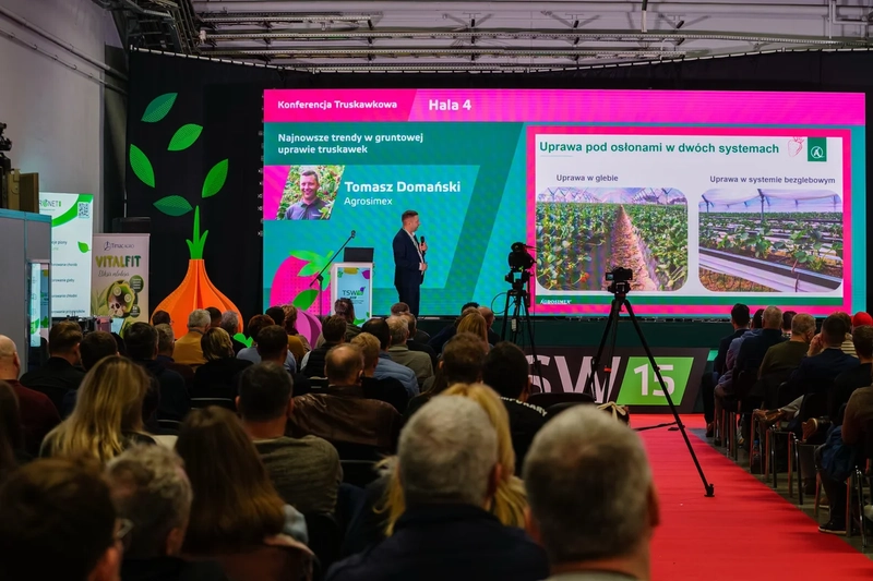 Inside Fruit and vegetable industry fair(TSW): B2B Key Insights - 2
