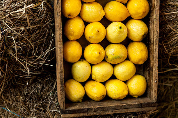 A Comprehensive Guide to Sourcing High-Quality Lemon: Top 5 Lemon Suppliers in Belgium in Year 2025