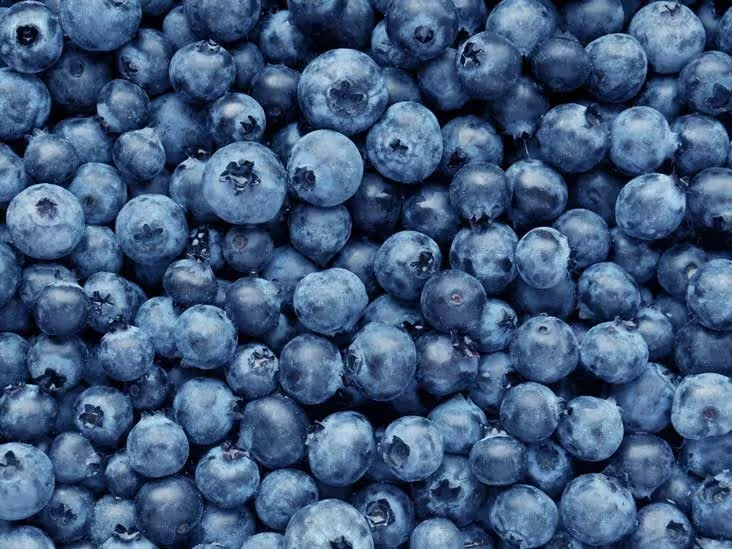 Frozen Blueberries: The Nutritional Powerhouse Transforming Global Food Markets