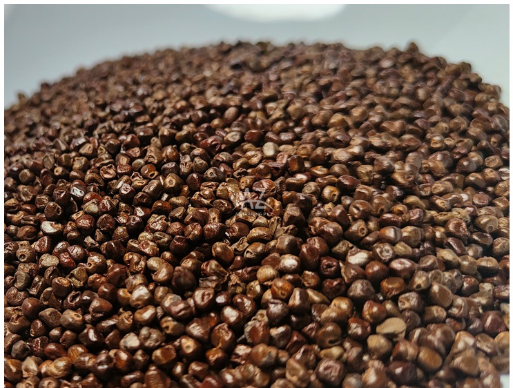 Highly Aromatic and Pleasant Taste 100% Pure Dried Black Cardamom Seeds from Reputed Wholesaler
