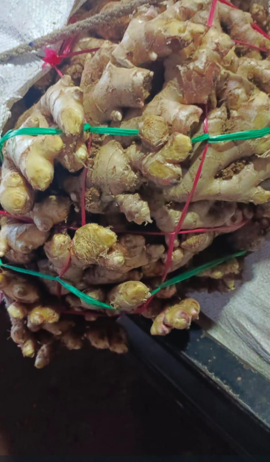 Ginger Style Fresh Quality Super Grade A (super) Origin Indonesia Size 120-250 gram Weight (kg) 25 kg Shape 120-250 gram