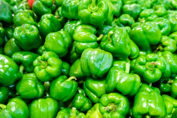 Pepper, Italy, Top 8 Pepper Suppliers in Italy in Quarter 3 of 2025