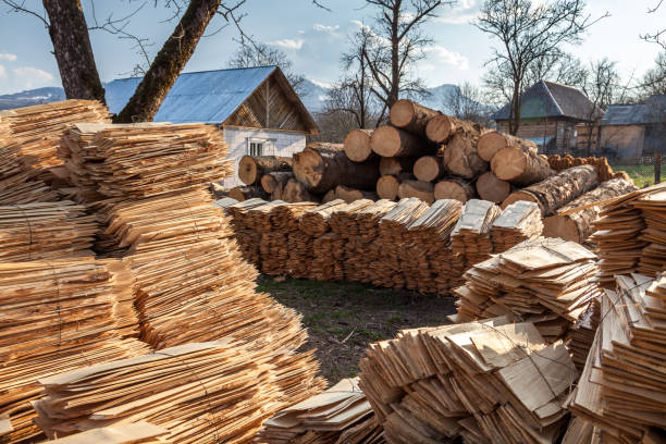 Top 9 Wood Suppliers in United States in August 2025
