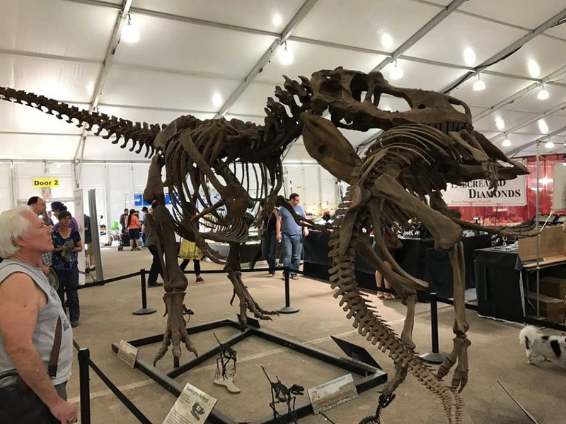 Inside Street Mineral, Fossil, Gem & Jewelry Show: B2B Key Insights - 2