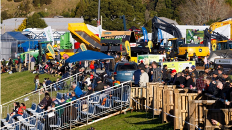 Inside FIELDDAYS: B2B Key Insights - 1