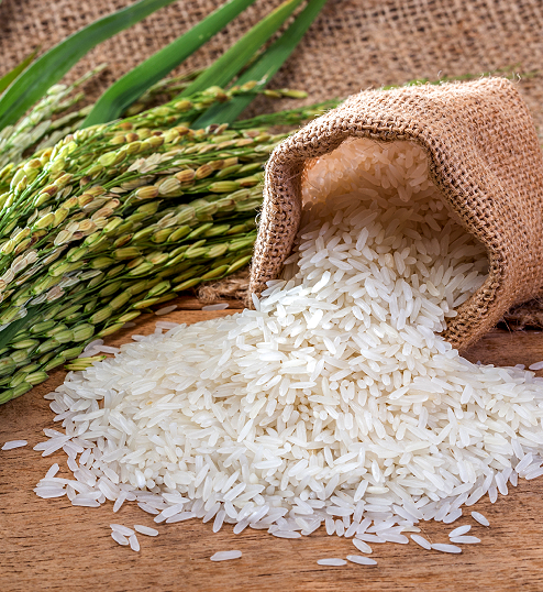 Creamy Sella Basmati Rice