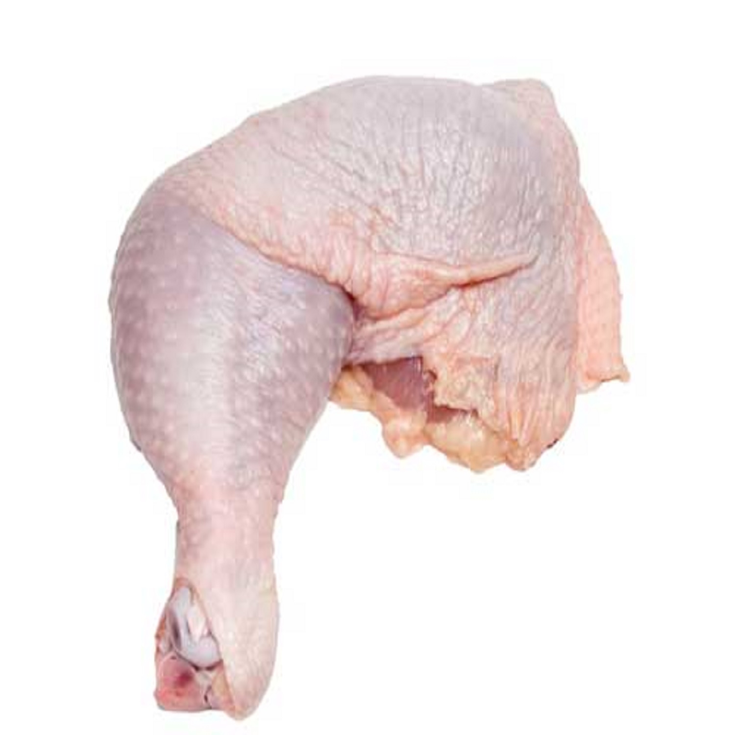 Lowest price Turkey Leg Quarters