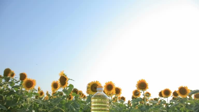 A Comprehensive Guide to Sourcing High-Quality Sunflower Oil: Top 9 Sunflower Oil Suppliers in Global in July 2025