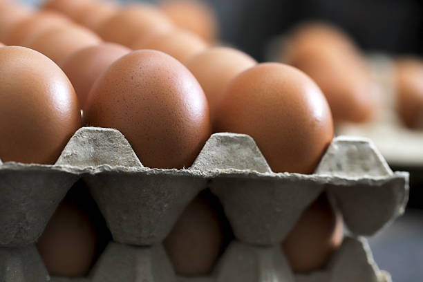 Your Expert Guide to Procuring Top-Tier Eggs: Top 10 Eggs Suppliers in Vietnam in Year 2025