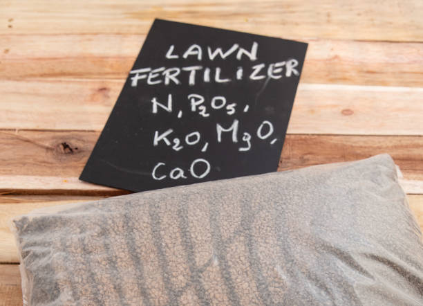 Fertilizer in Germany: Top 3 Fertilizer Suppliers in Germany in Year 2025