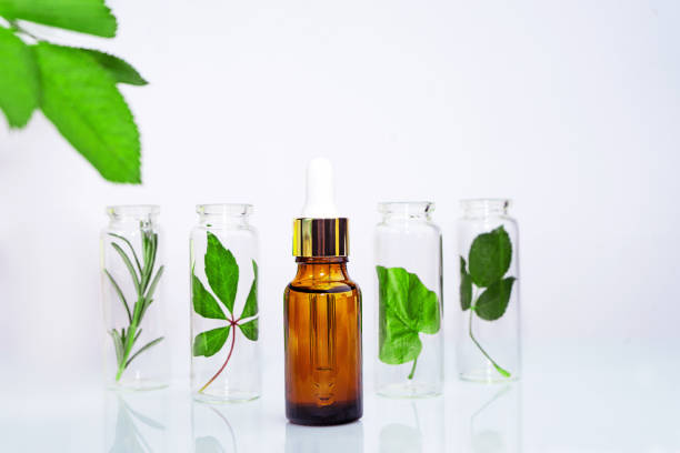 Top 4 Herbal Extract Suppliers in Switzerland in Year 2025: Urgent Market Update & Buyer Insights