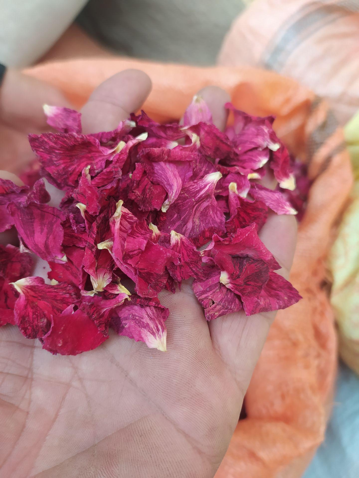 Rose Petals in Bowl