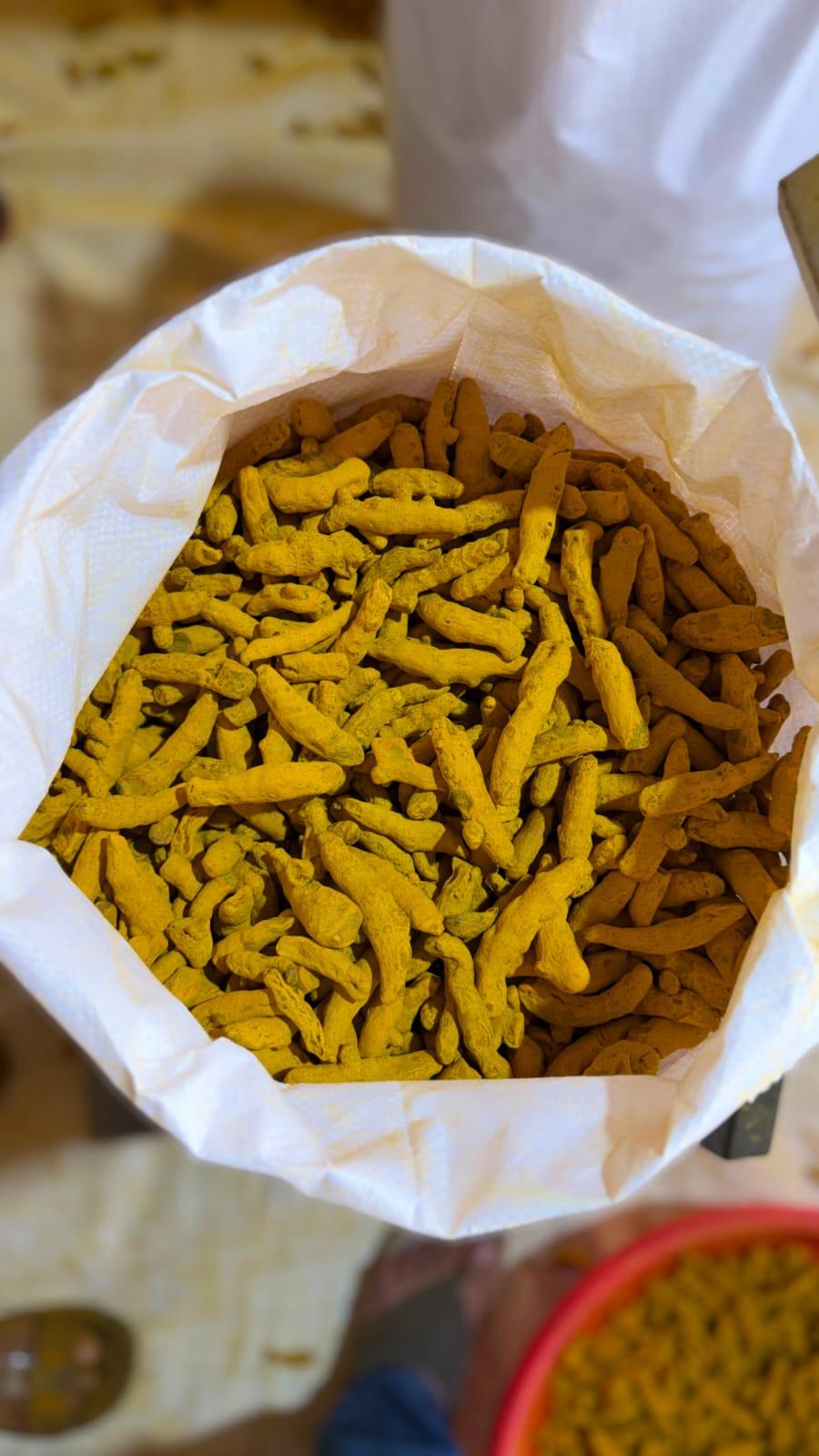 Turmeric Fingers