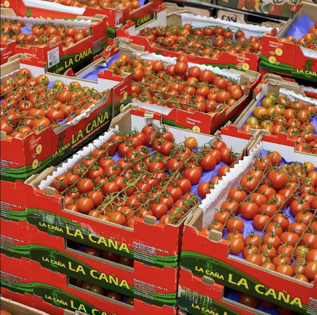 BUY PREMIUM FRESH RICH TASTE RED TOMATOES BRANDS EXPORT QUALITY 5.45Kg CARTONS – product thumbnail, market insight supplier card