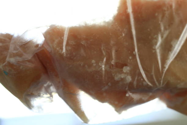 A Comprehensive Guide to Sourcing High-Quality Salted Pouting: Top 5 Salted Pouting Suppliers in Egypt in Quarter 3 of 2025