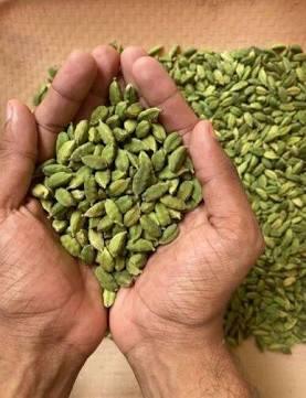 Green Cardamom