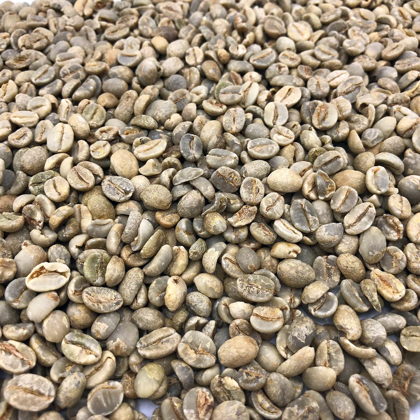 Discover the top 6 Green Coffee suppliers in South Africa - 5