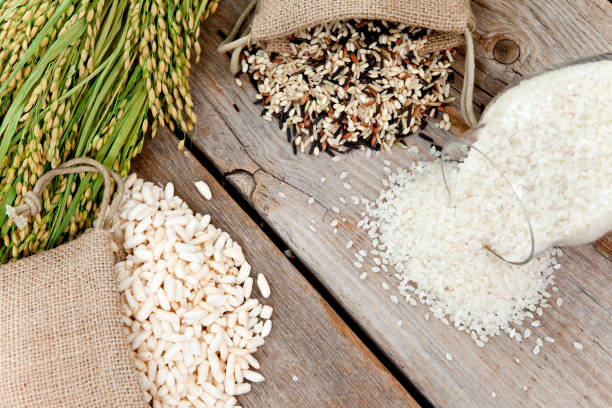 Top 7 Rice Suppliers in India in Week 26 of 2025: Decoding India’s Rice Export Boom