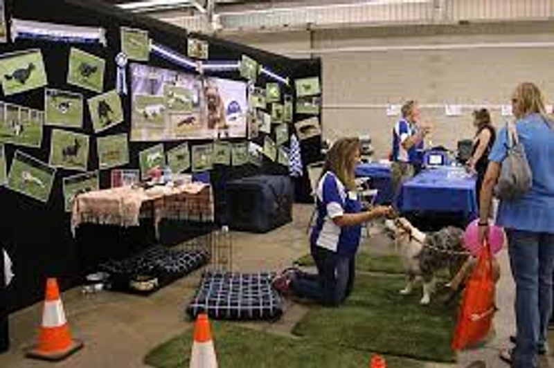 Discover ANIMAL EXPO ADELAIDE: B2B Event Guide - 2
