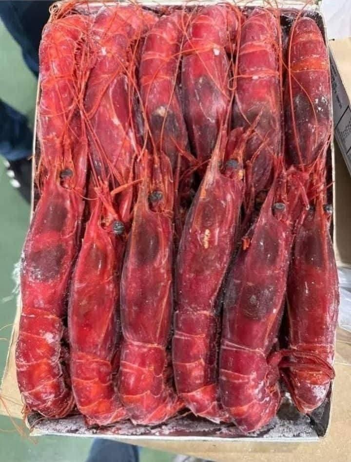 HEALTHY FRESH FROZEN CLEANED YELLOWFIN TUNA(5-6Kg) VACUUM PACKED PREMIUM EXPORT QUALITY FOR SALE – product thumbnail, market insight supplier card