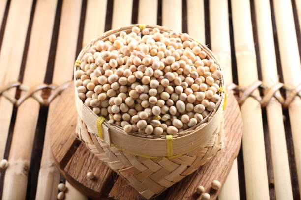 Top 10 Soybean Suppliers in Ukraine in July 2025