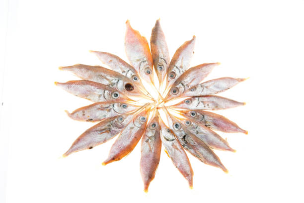 Top 8 Dried Fish Suppliers in United Kingdom in August 2025