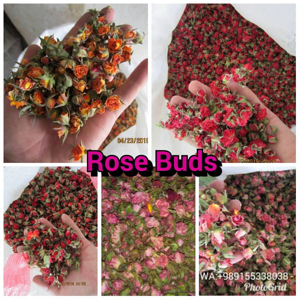 Damask Rose
