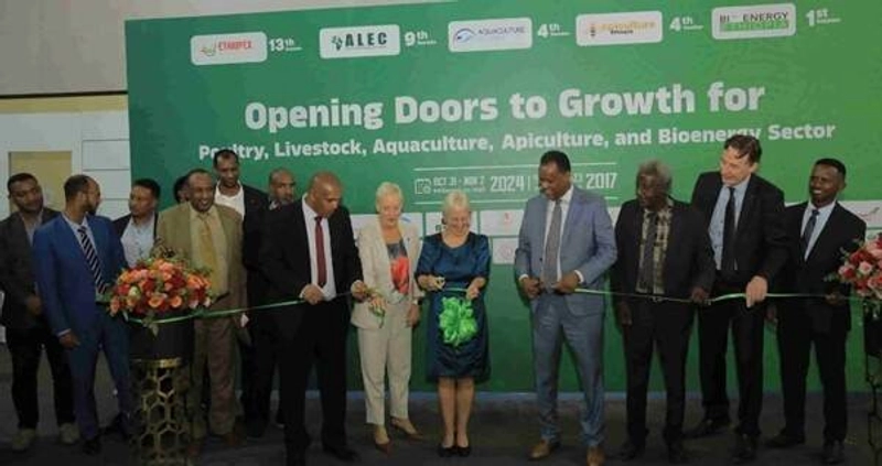 Inside African Livestock Exhibition and Congress: B2B Key Insights - 3